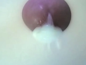 Nylons
