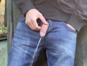 Penis