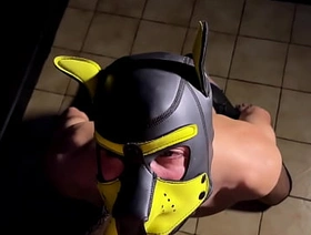 Puppy Perversions undefined Intensive dressage lesson [Free 5mn]